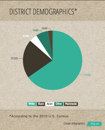 District Demographics