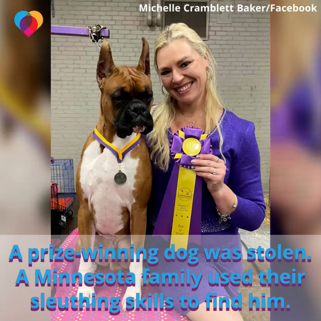 A smiling woman and her dog are pictured with a yellow "Best of Breed" ribbon with text in blue and purple reading, "A prize-winning dog was stolen. A Minnesota family used their sleuthing skills to find him."